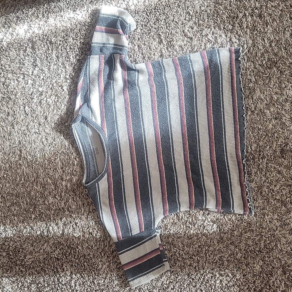 Striped American Eagle Crop Shirt